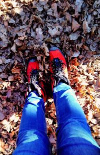 Low section of man standing on autumn leaves