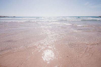 Scenic view of beach