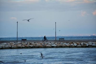 Seagulls flying over sea against sky