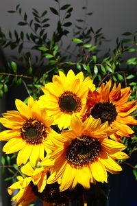 High angle view of yellow flowering plant