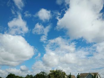 Low angle view of trees against blue sky