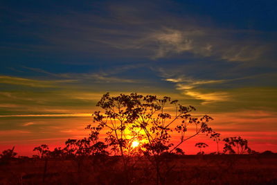 Silhouette trees on field against romantic sky at sunset