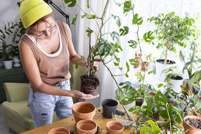 Woman is taking care of a mini monstera at home. urban jungle, gardening concept. biophilic design