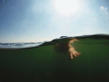 View of man swimming in sea