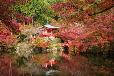 Daigoji pagoda with red autumn maple foliage leaf by pond with skyline reflection in kyoto, japan. 