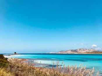 Scenic view of sea against clear blue sky