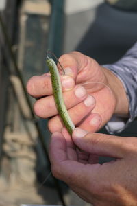 Close-up of hand holding fishing lure