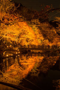 Illuminated trees by river against sky at night