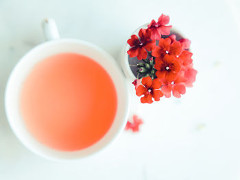 High angle view of red flowers on table