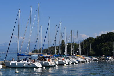 Boats in harbor