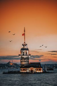 Birds flying over sea against sky during sunset