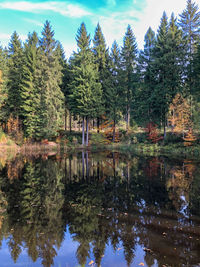 Reflection of trees in lake against sky