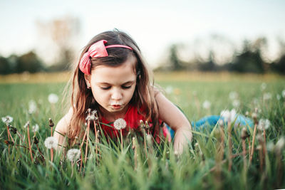 Caucasian girl blowing dandelions flowers. child lying in grass on meadow. outdoor fun activity 