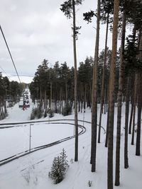 Trees on snow covered field against sky