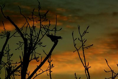 Low angle view of silhouette bird flying against sky