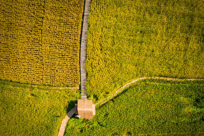 View of agricultural field and home abstract background 