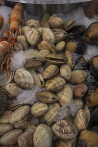 High angle view of onions for sale at market stall