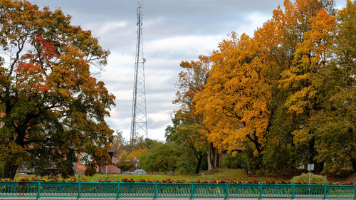 Trees by plants against sky during autumn