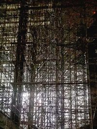 Low angle view of bamboo trees in forest