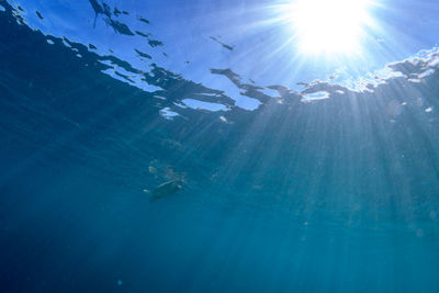 Aerial view of sea