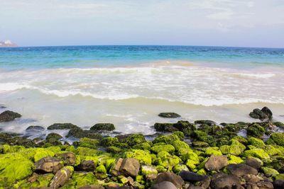 Scenic view of beach against sky