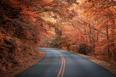 Empty road amidst trees during autumn