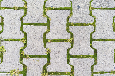 Abstract background of gray patterned bricks and green moss and grass between it, copy space