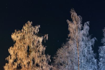 Low angle view of moon at night