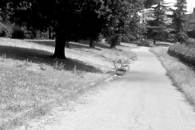 Road passing through forest