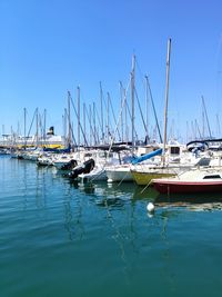 Sailboats in marina