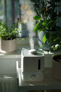 Steam from humidifier, moistens dry air surrounded by indoor houseplants. home garden, plant care