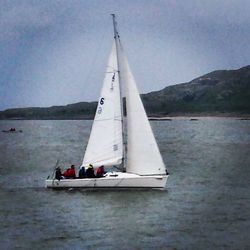 Sailboat sailing in sea