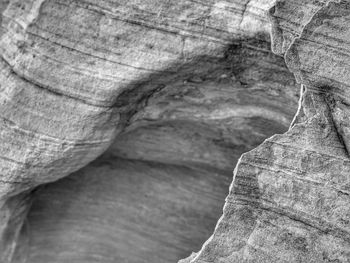 Full frame shot of tree stump