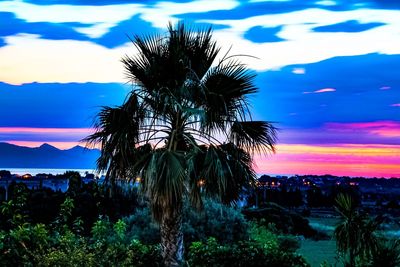 Silhouette palm trees against sky during sunset