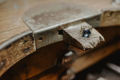 High angle view of insect on table