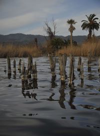 Scenic view of lake against sky