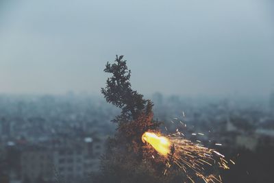 Firework display against sky