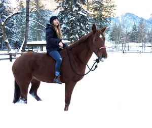 Full length of man with horse in winter