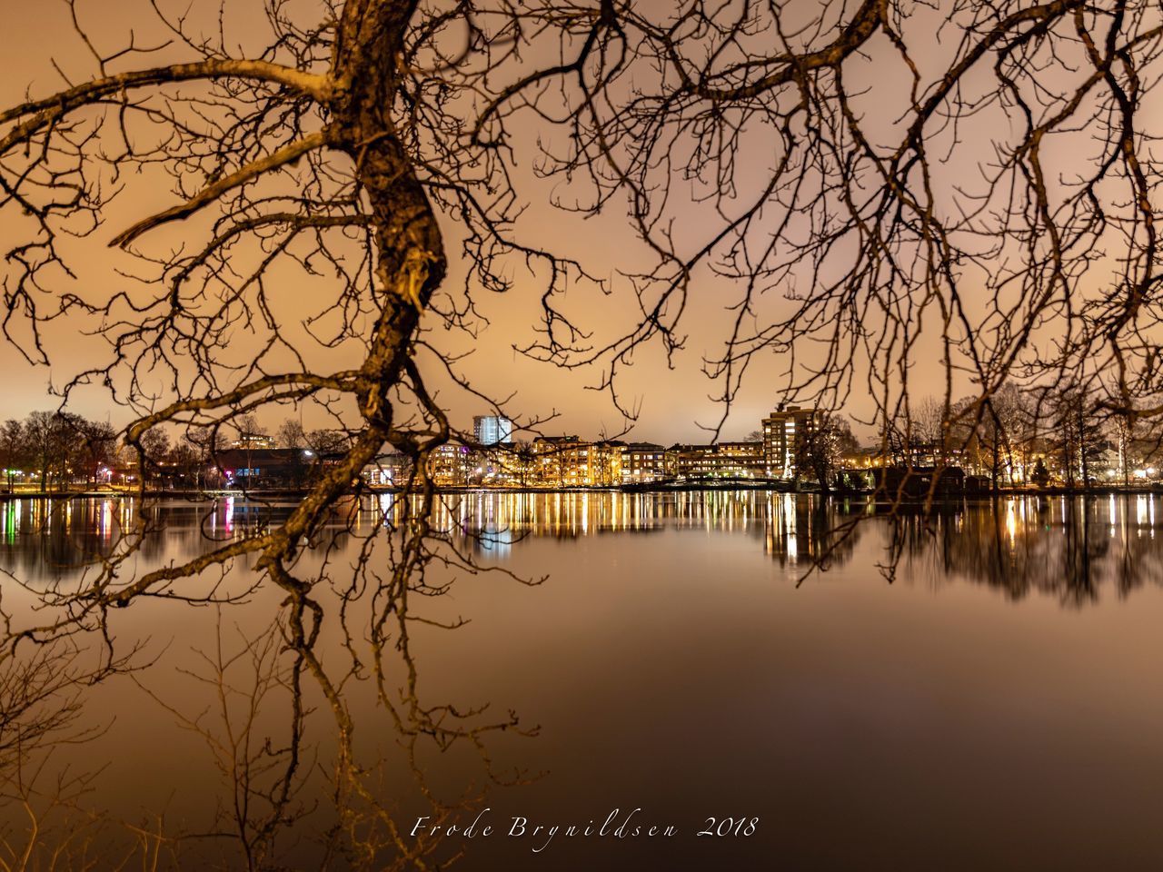 SCENIC VIEW OF LAKE AGAINST BARE TREES