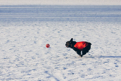 Red umbrella on snow covered landscape during sunset