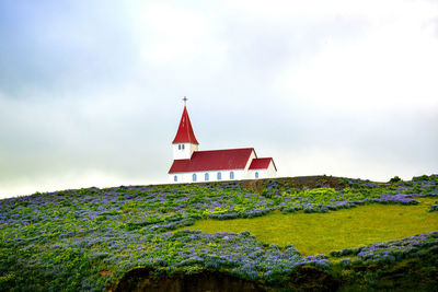 A red roofed church in iceland with lupins