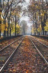 Railroad tracks amidst trees during autumn