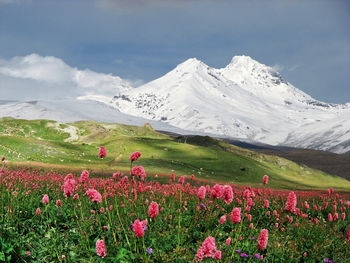 Scenic view of snowcapped mountains against sky