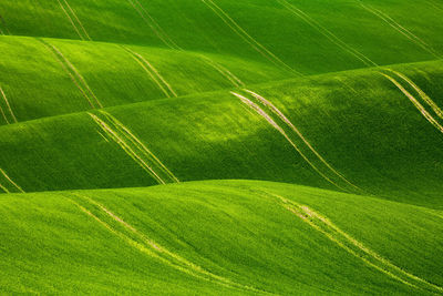 Full frame shot of rolling landscape