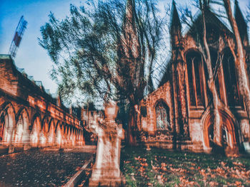 Panoramic shot of old trees against sky