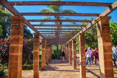 Rear view of people walking on walkway amidst trees