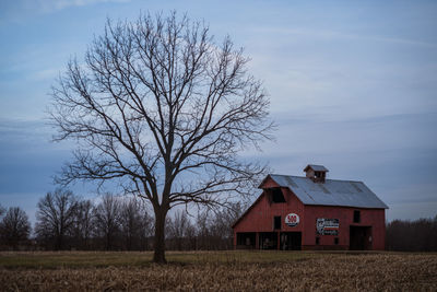 Bare tree on field by house against sky