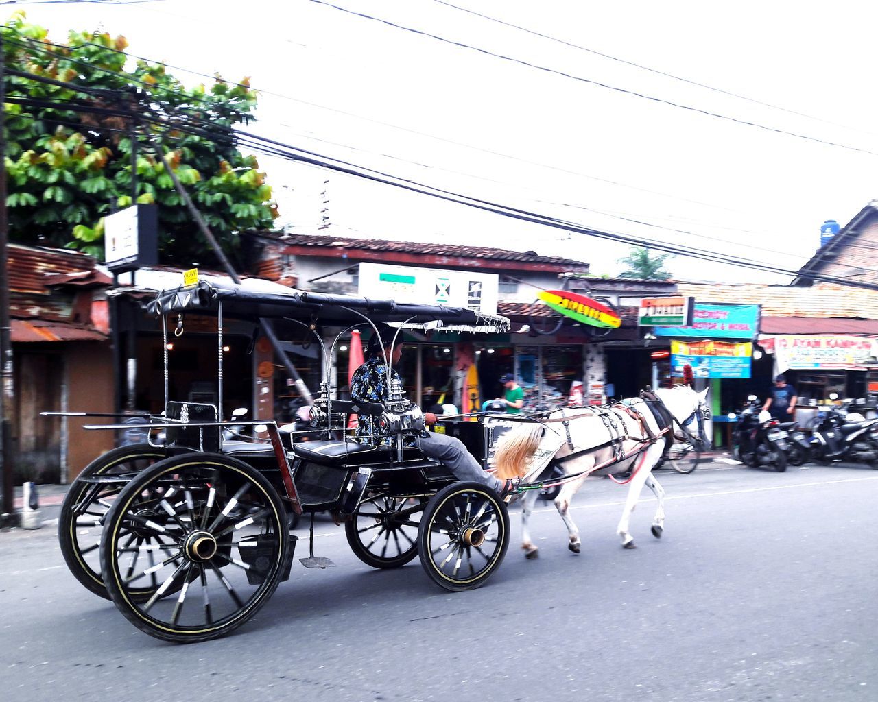 transportation, horse, domestic animals, mode of transport, animal themes, street, built structure, one animal, horse cart, mammal, day, outdoors, land vehicle, building exterior, cable, livestock, architecture, sky, no people