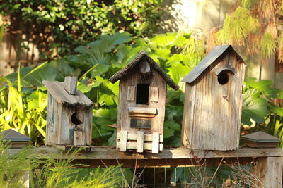 Birdhouses on wooden planks against plants in yard