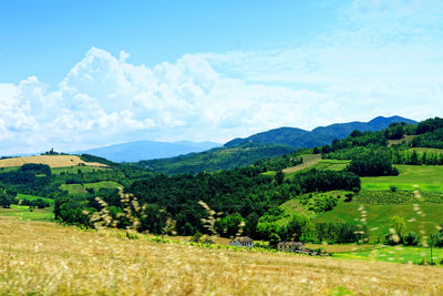 Scenic view of field against sky